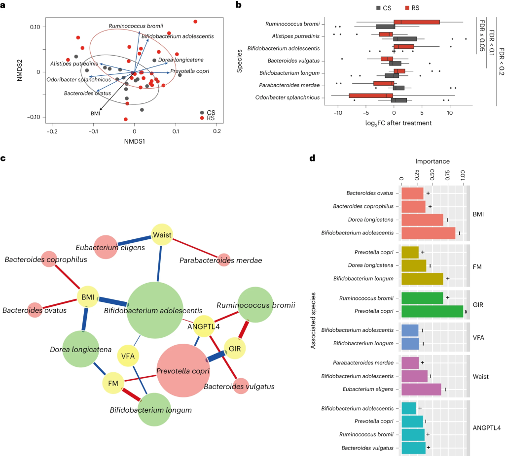 תמונה הממחישה
